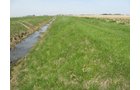 Property photo 18 - 172 Acres Offered in 3 Tracts - Prime Farmland